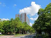 Hydrogen Boride Research Center