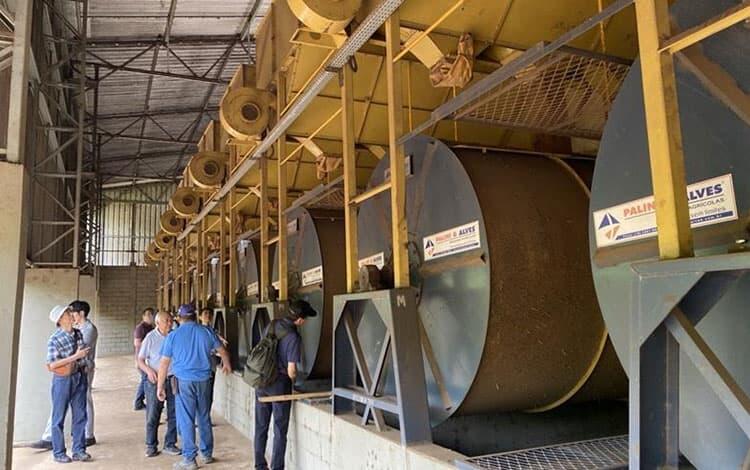 Fazenda Aliança coffee farm tour: coffee bean drying facilities