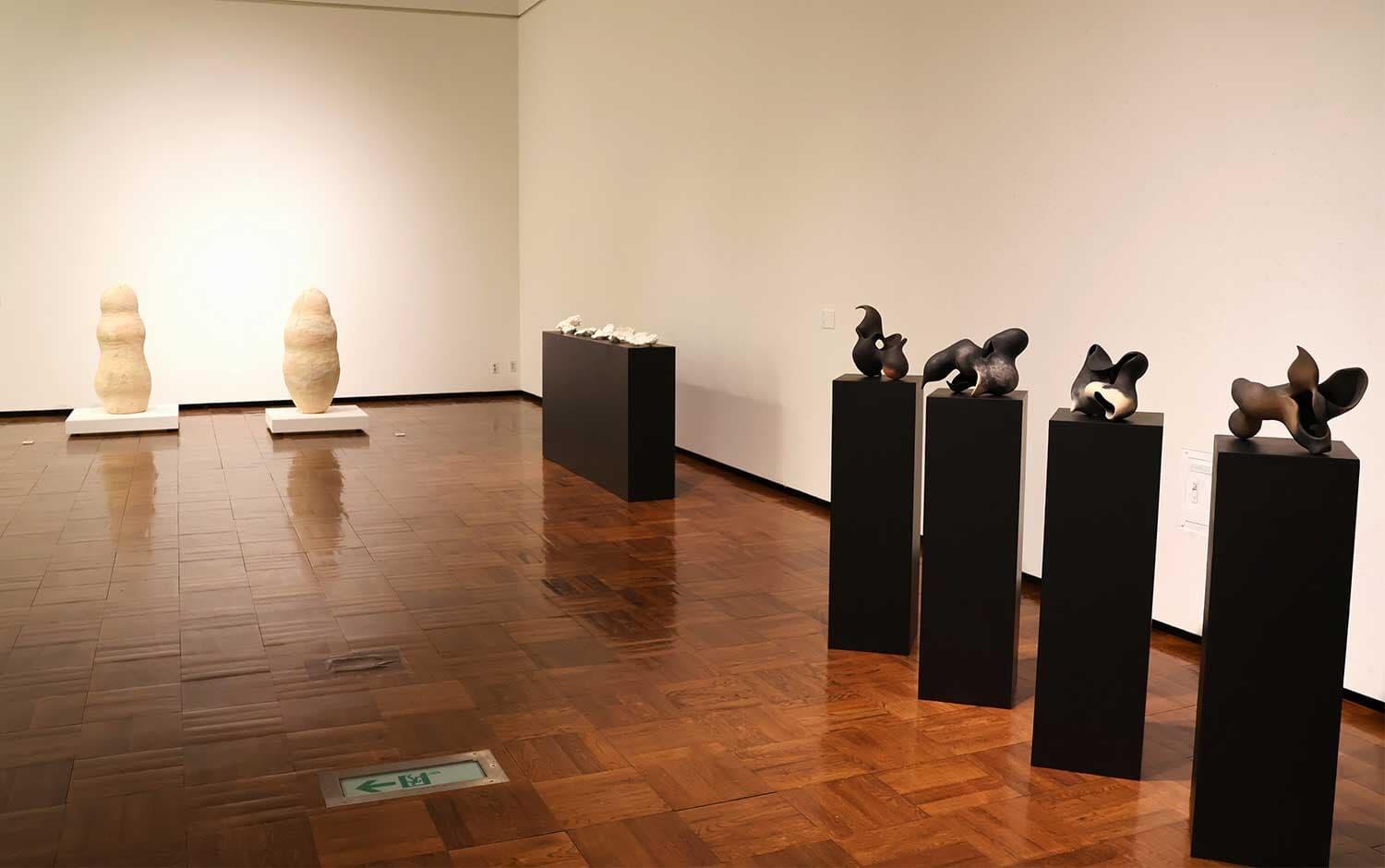 Graduation Works Exhibition 2025 by Art Students Held