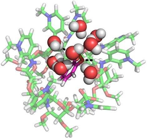 Assistant Professor NAKAMURA Takashi