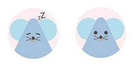 Brush up Program for professional