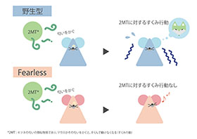 Brush up Program for professional