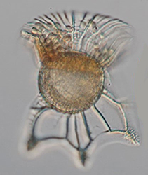 Brush up Program for professional