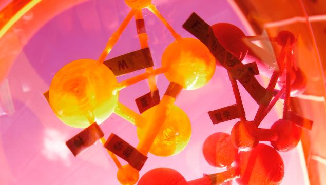 Unique Programs for Research