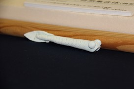 コノドントの歯並びを再現した350倍の模型の画像