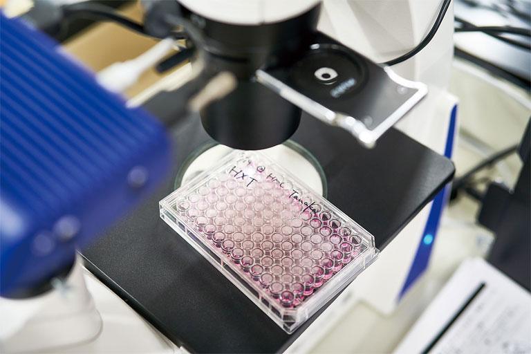 多様なバイオアッセイ