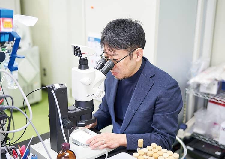 丹羽プロジェクト(生理遺伝学研究)