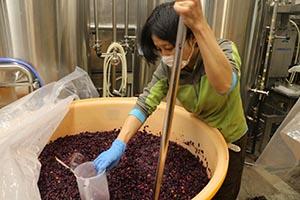 今村さんの写真2