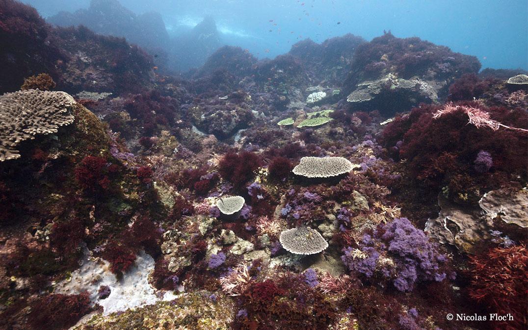 研究イメージ画像