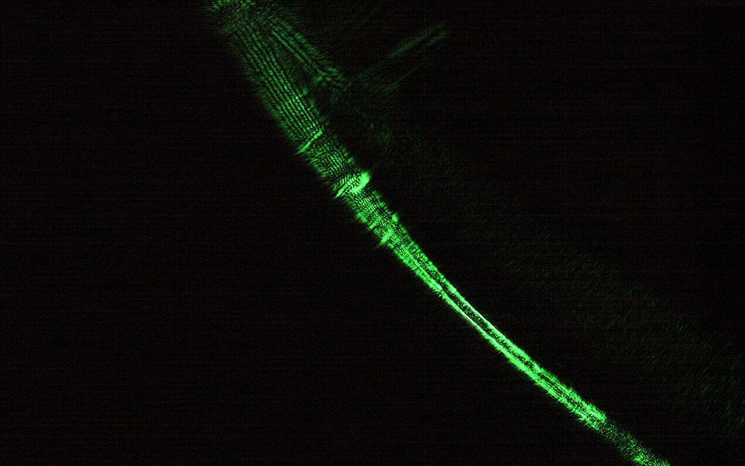 研究イメージ画像