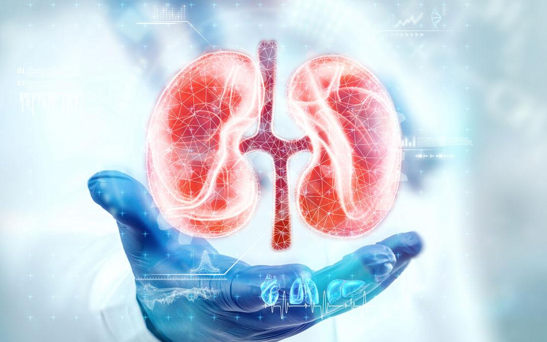 研究イメージ画像