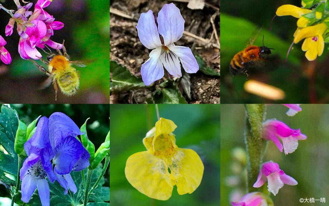 研究イメージ画像