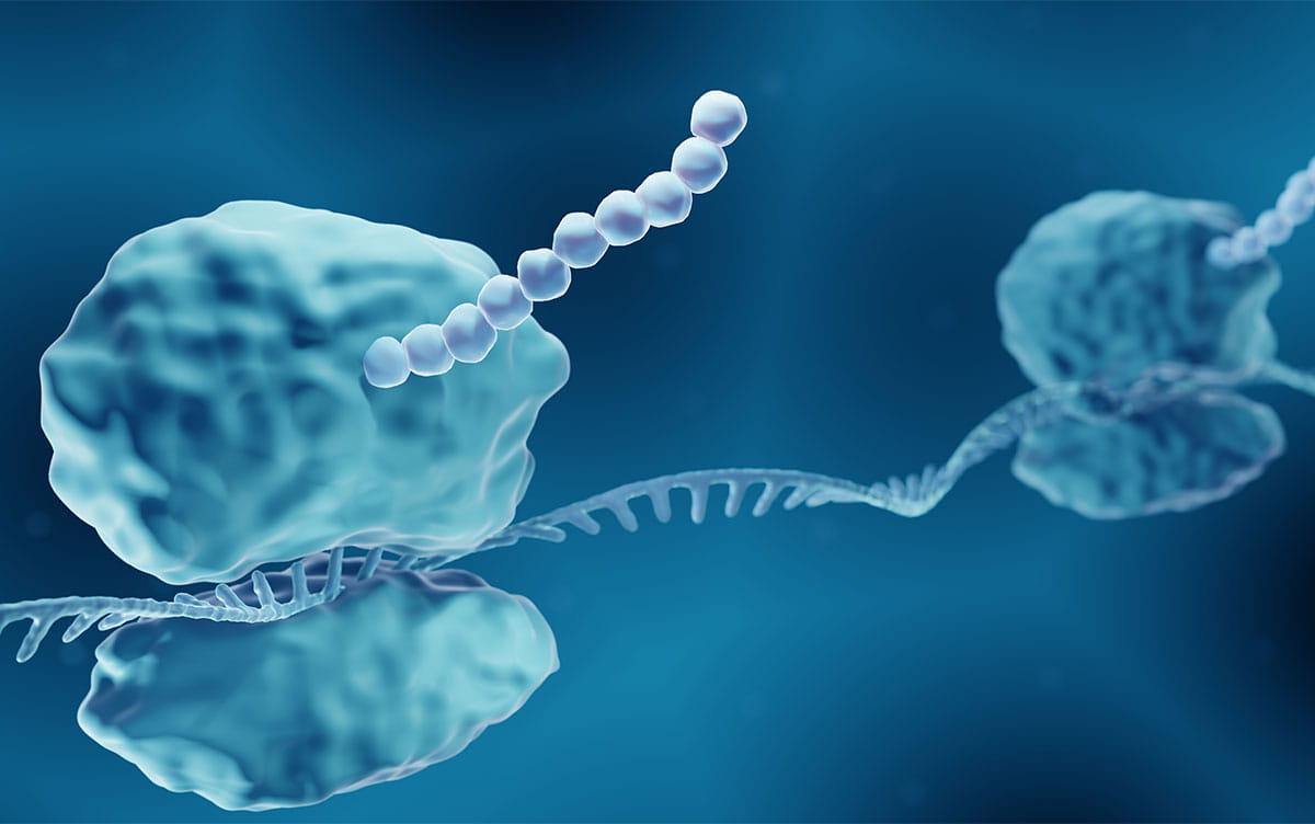 研究イメージ画像