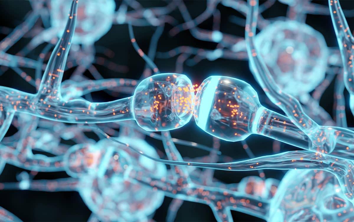 研究イメージ画像