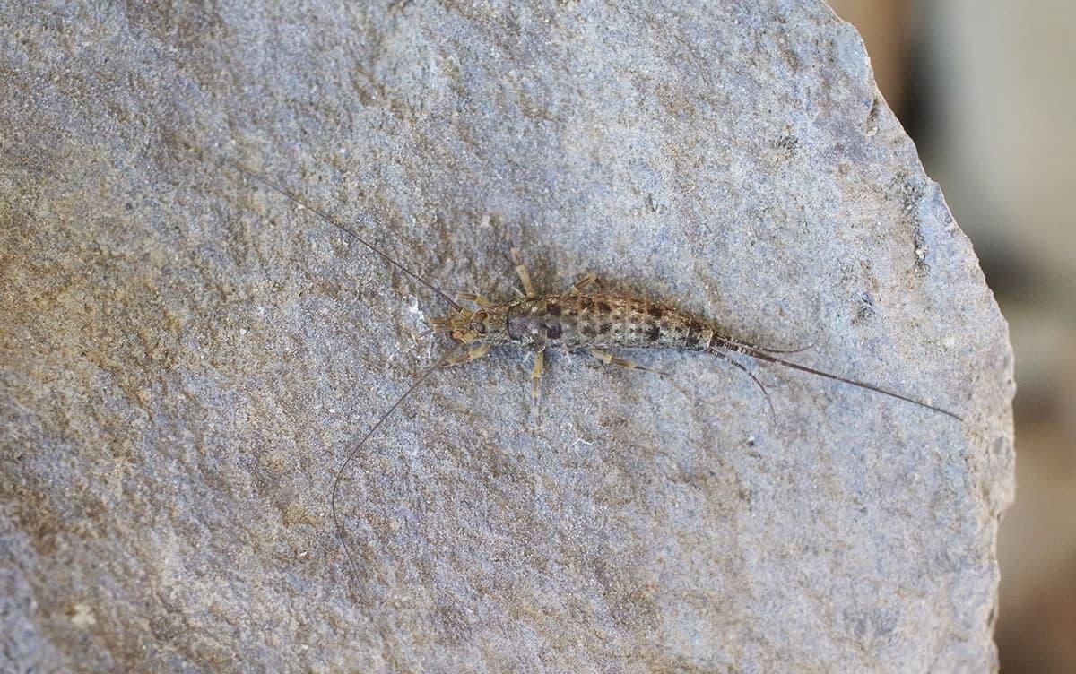 研究イメージ画像