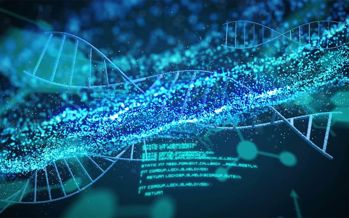 研究イメージ画像