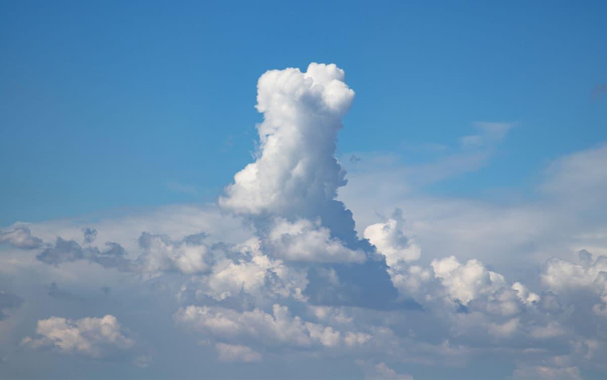 研究イメージ画像