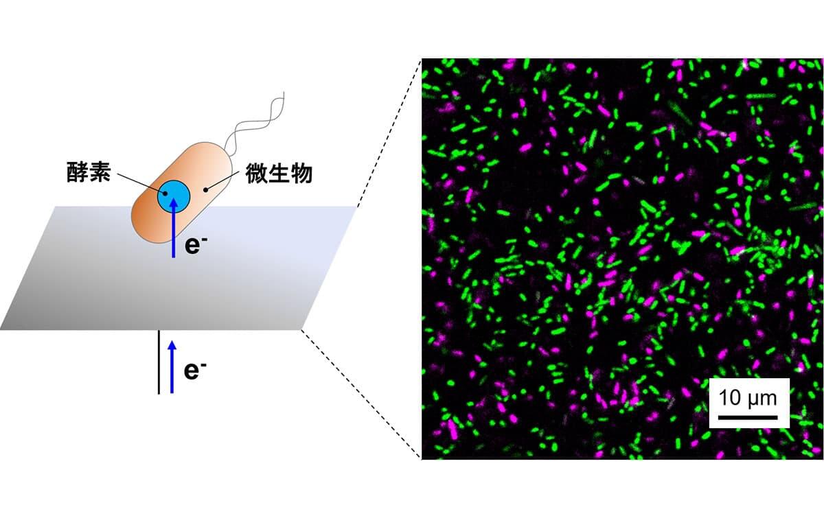研究イメージ画像