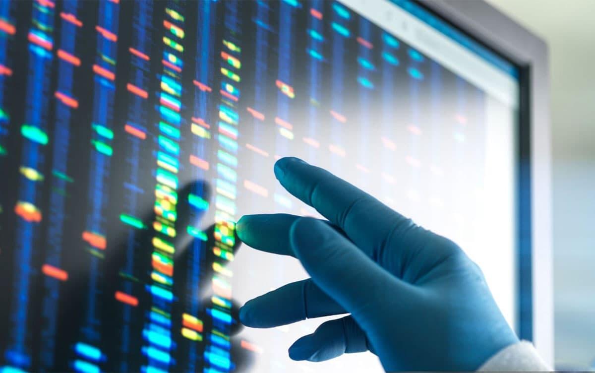 研究イメージ画像