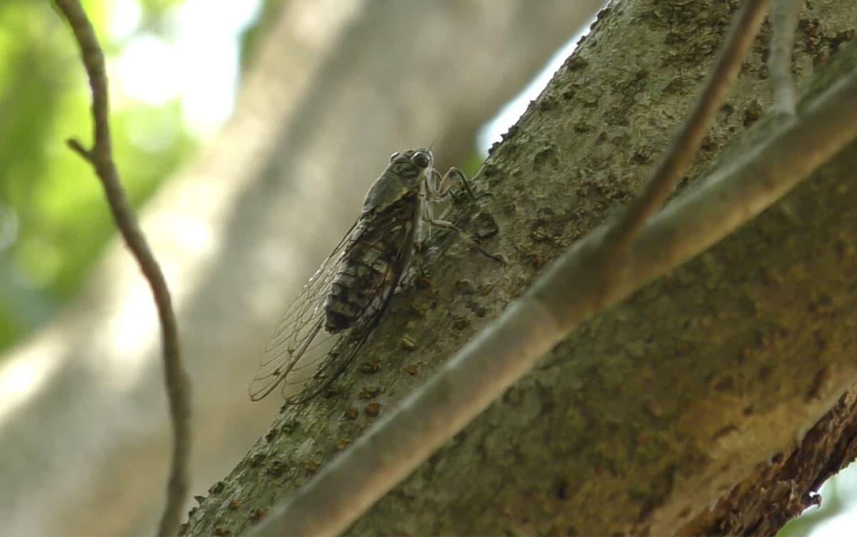 研究イメージ画像