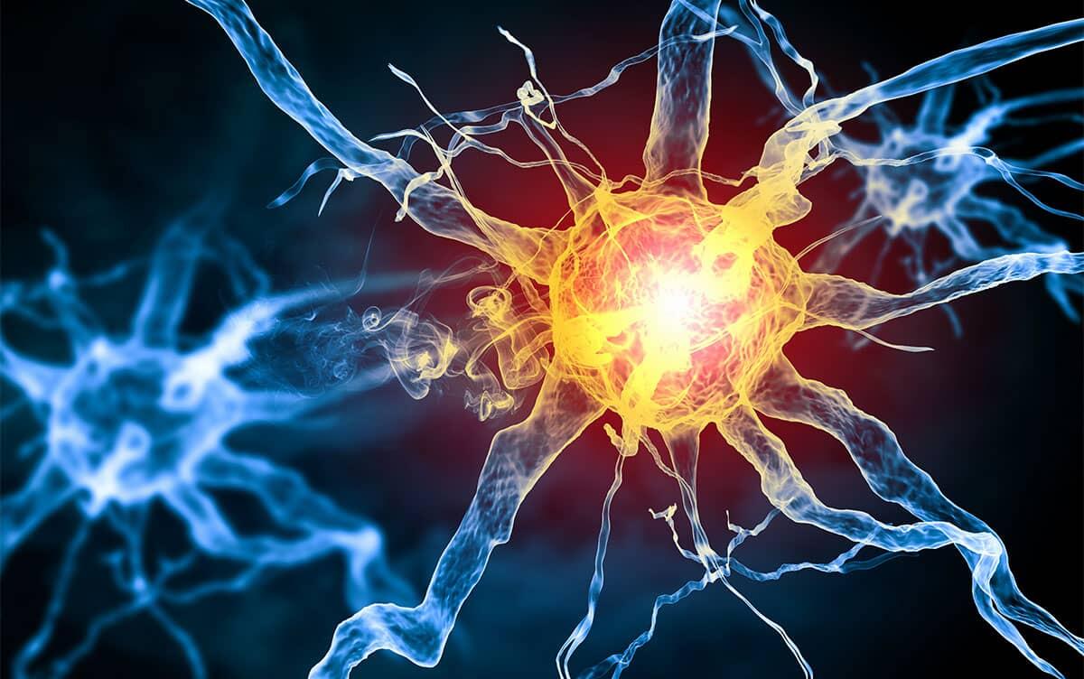 研究イメージ画像