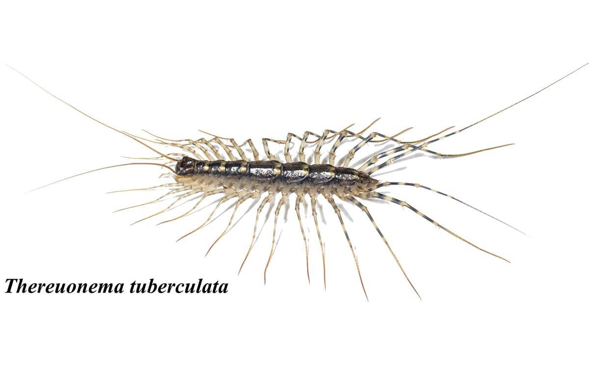 研究イメージ画像