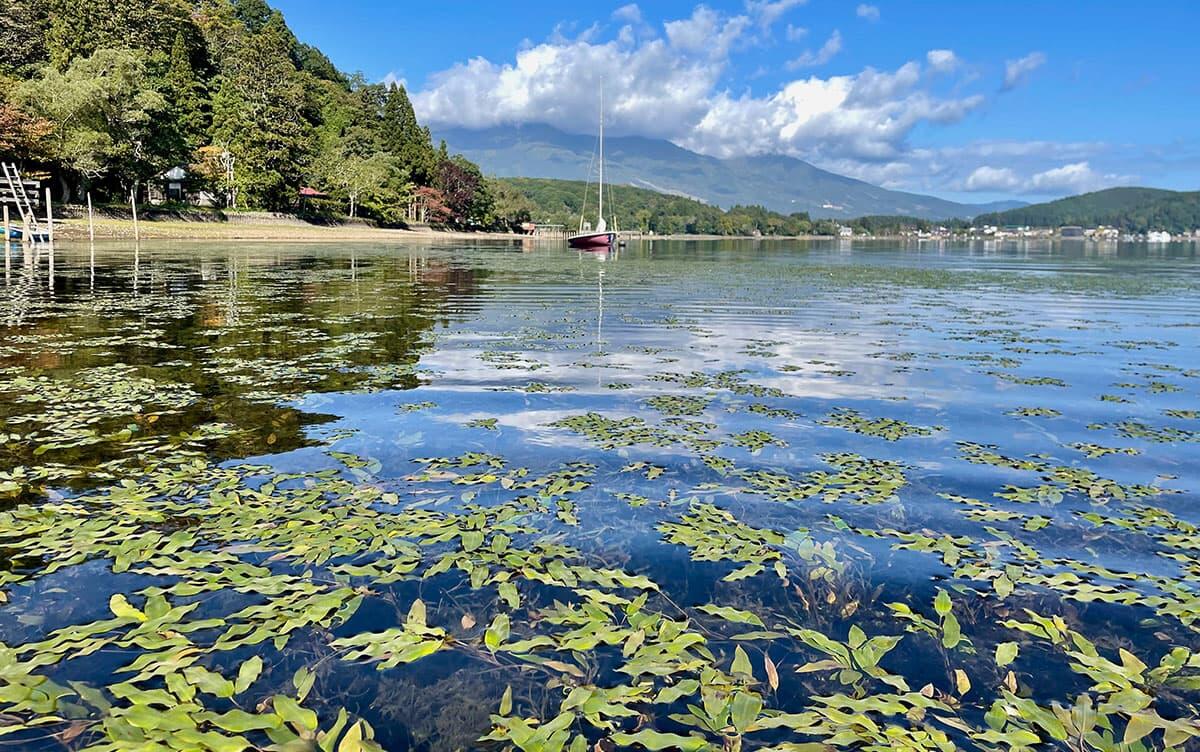 研究イメージ画像