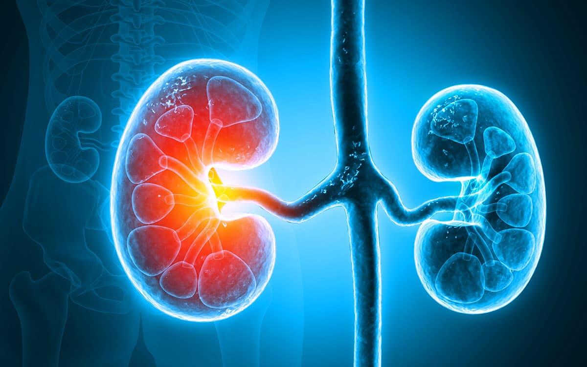 研究イメージ画像