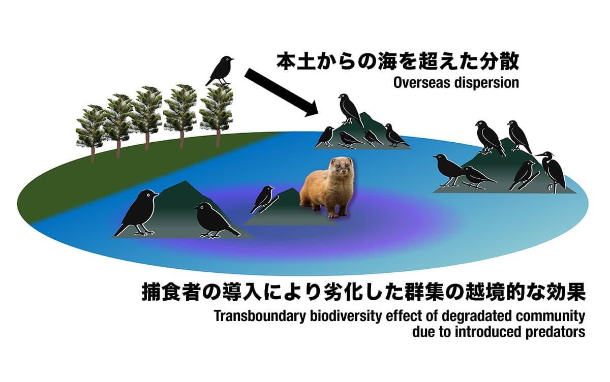 研究イメージ画像