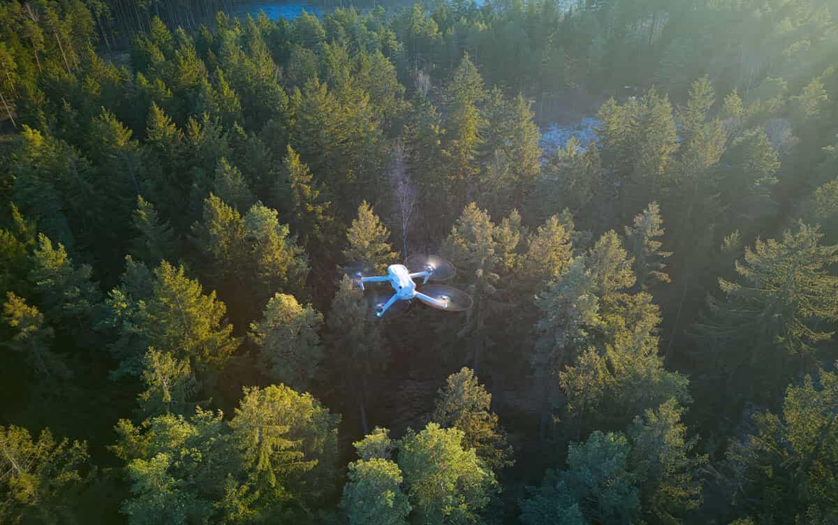 研究イメージ画像