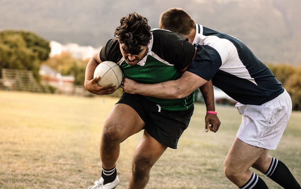 研究イメージ画像