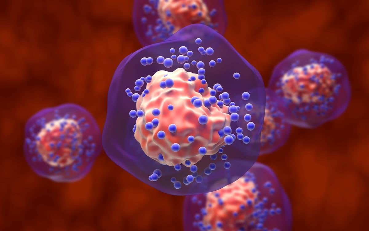 研究イメージ画像