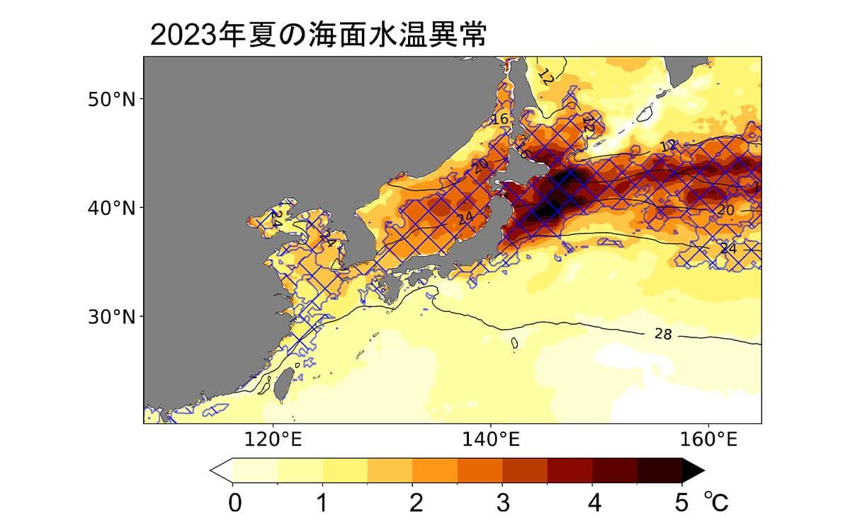 研究イメージ画像