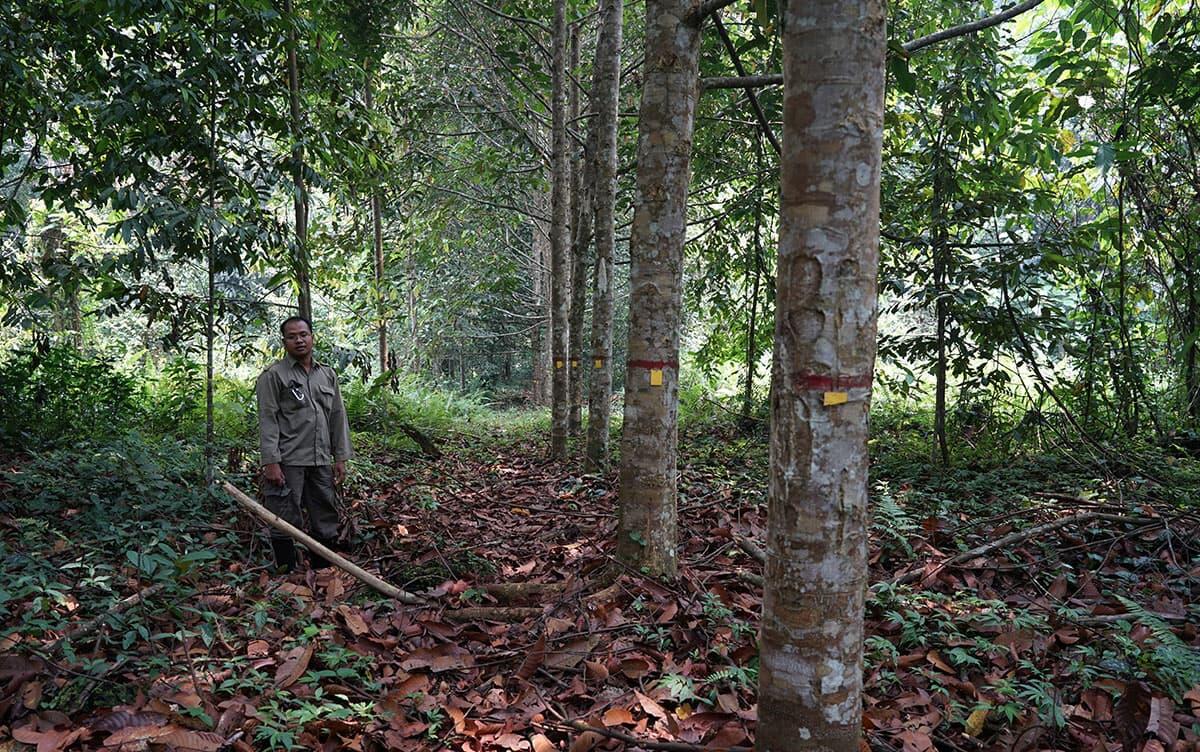 研究イメージ画像