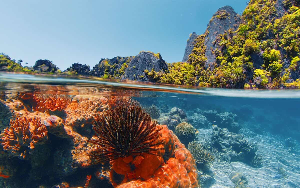 研究イメージ画像