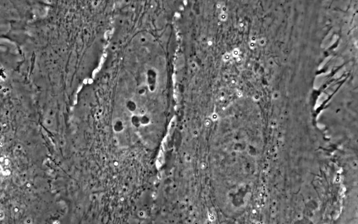 研究イメージ画像