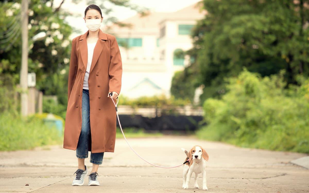 研究イメージ画像